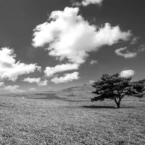 国営ひたち海浜公園